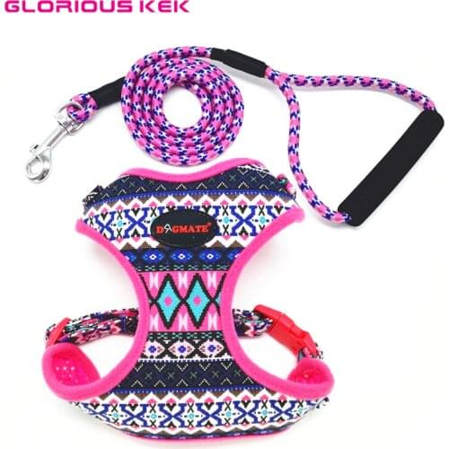 GLORIOUS KEK Dog Harness Small Pet Dog Harness and Leash Set Soft Printed Chihuahua Yorkie Harness Vest Adjustable Puppy Vest S
