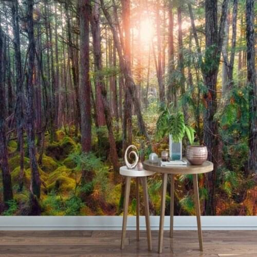 Dropshipping Colomac Wallpaper Forest Sun Shining Woods Environmental Landscape 3d Foto Mural Custom Wallpaper 3d Duvar Kagidi