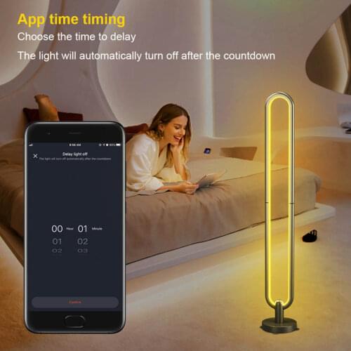 Kaigelin Floor Lamps