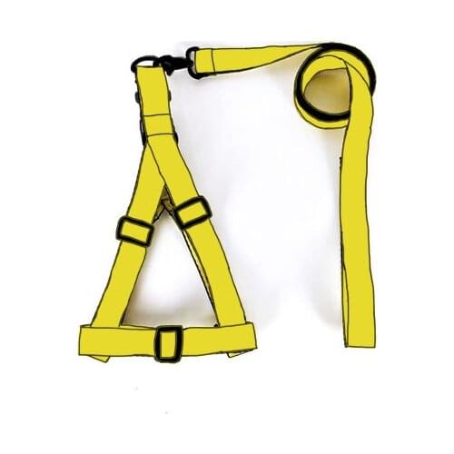 Nylon Dog Collar Harness Pet Collar Set for Small Medium Dogs Chihuahua Outdoor Walking Dog Accessories French Bulldog LC0242