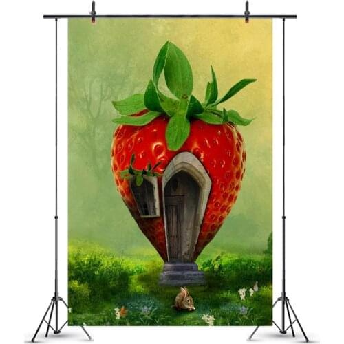 Fairy Tale Princess Strawberry House Room Photography Backdrop Newborn Baby Shower Girl Birthday Decor Portrait Photo Background