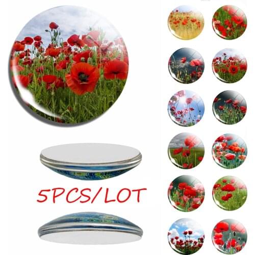 5PCS/SET Poppy Flowers Art Pattern 12/16/20/25/30mm Glass Cabochon Jewelry DIY Pendant Jewelry Charm Women Fashion Accessories