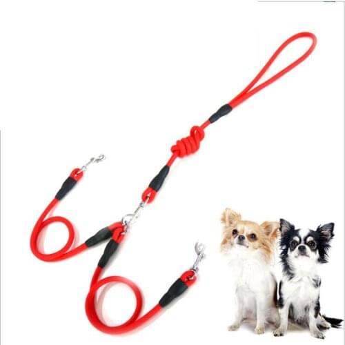 Dual pet dog leash