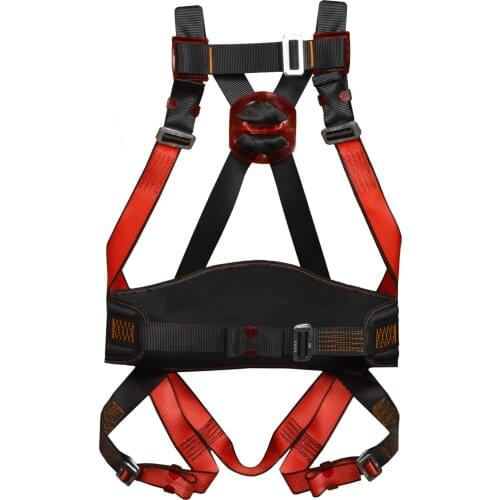 Fall Protection and Positioning Harness