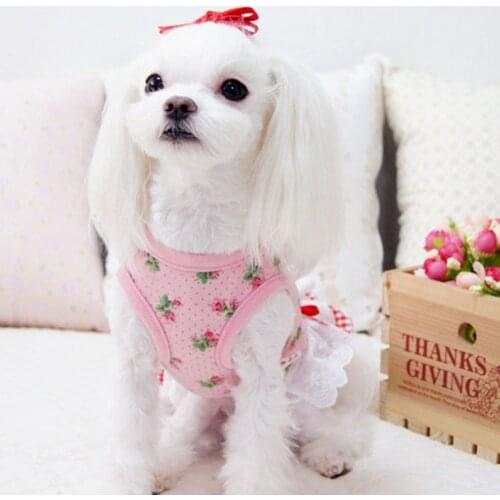 Summer Dress for Dog Pets Dog Clothes Chihuahua Wedding Dress Skirt Puppy Clothing Spring Dresses for Dogs Jean Pet Clothes