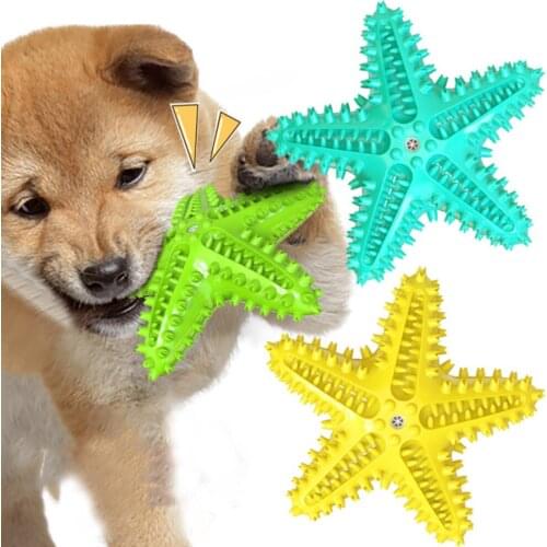 Rubber Dog Chew Toys Dog Toothbrush Teeth Cleaning Toy Dog Pet Toothbrushes Brushing Stick Pet Dog Supplies Puppy Popular Toys