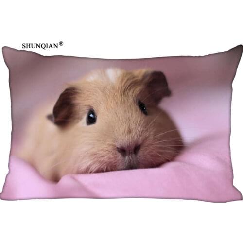 Guinea pig Pillow Case (Two sides) High Quality Custom Zippered Rectangle soft Pillow cover