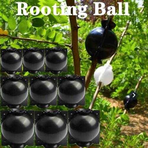 Plant Rooting Ball Grafting Rooting Growing Box Breeding Case for Garden for Garden High-pressure Box Transplantation