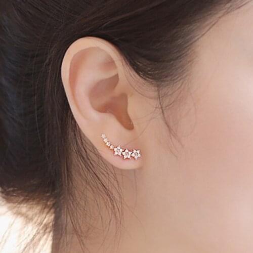 2021 New Zircon Crystal Ear Jewelry Good Quality 925 Sterling Silver Stud Earrings For Women Earrings Fine Jewelry Brincos