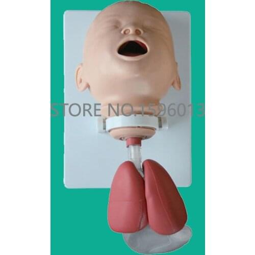 Infant Intubation Training Head Model, Neonate/Newborn baby Intubation Trainer