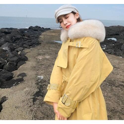 Women Down Jacket Winter Large Real Natural Fox Fur Hooded 90% White Duck Down Coat Female Winter Thick Warm Long Parka