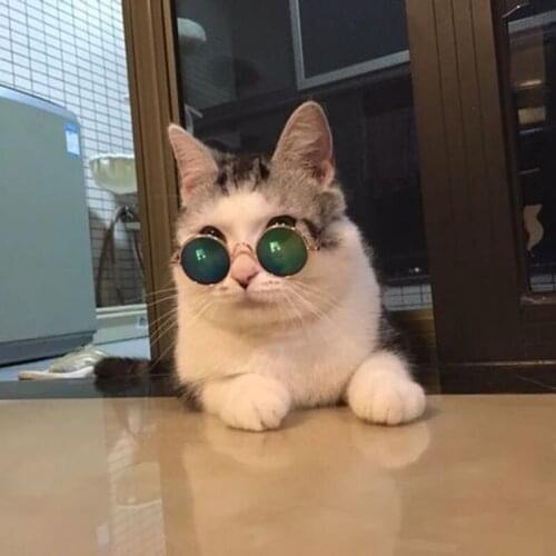 Fashion Glasses Small Pet Dogs Cat Glasses Sunglasses Eye-wear Protection Pet Cool Glasses Pet Photos Props