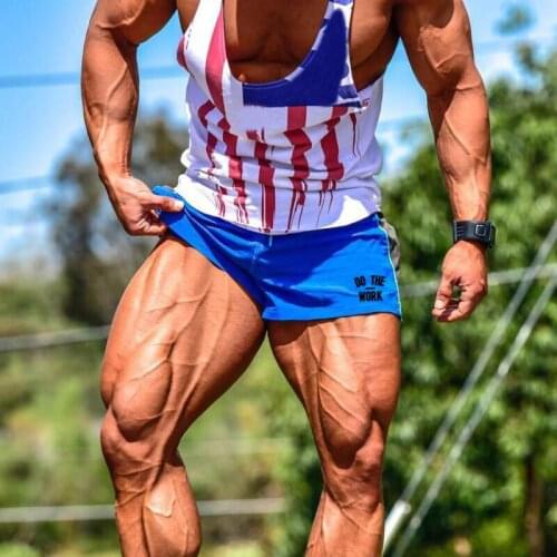 Mens Mesh Casual Shorts Workout Gym Fashion Brand Running Training Fitness Bodybuilding Comfortable Plus Size Sports Shorts