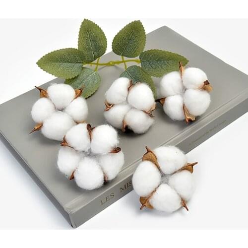 10pcsNatural Kapok Head Dried Flower Cotton Bouquet DIY Handmade Eternal Life Garland Material Domestic Ornaments Props