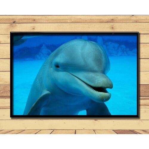 Dolphin Lovely Marine Animal (26) Wall Posters Prints Silk Art Painting For Home Wall Bedroom Decor
