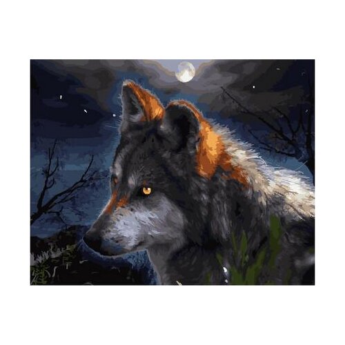 Mysterious wolf Framed Oil Painting By Numbers Animal Pictures Canvas Painting For Living Room Wall Art Home Decor
