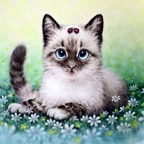 DIY Diamond Painting cat Full Drill Round Diamond Embroidery Picture Rhinestone Diamond Mosaic Cartoon Home Decor