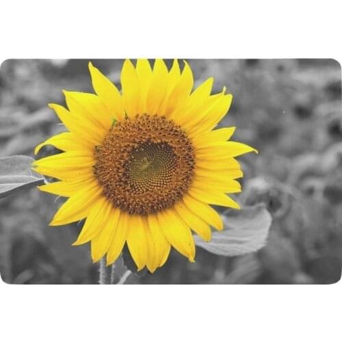 Floral Flower 1 Anti-slip Door Mat Home Decor, Single Yellow Sunflower Indoor Outdoor Entrance Doormat Rubber Backing