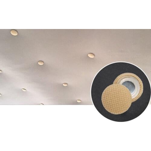 10 pieces of car roof fixing screw caps for Jaguar XF XJ XJS XK S-TYPE X-TYPE XJ8 XJL XJ6 XKR XK8 XJS X320 X308