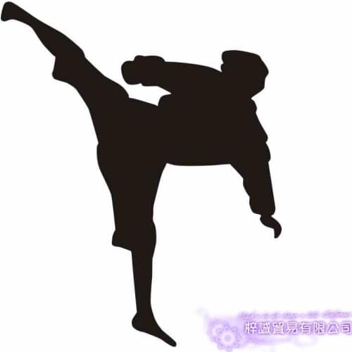 KARATE MMA Wall Sticker Judo Kick Play Decal Free Combat Vinyl Striker Wall Decals Decor Mixed Martial Arts Club Car Decal