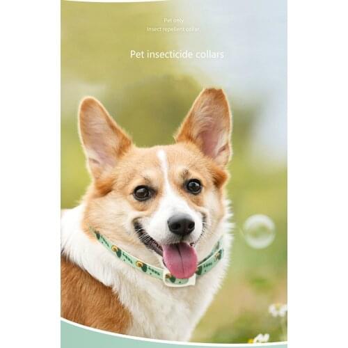 Pet Insecticide Collars Prevent Fleas And Mosquitoes Summer Outdoor Dog Collar