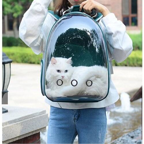 Free shipping Cat bag Breathable Portable Pet Carrier Bag Outdoor Travel backpack for cat and dog Transparent Space pet Backpack