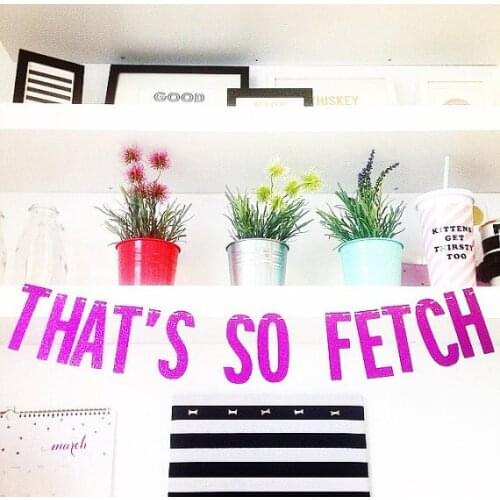 Thats So Fetch Glitter mean girls banners birthday Party Photo Prop garlands buntings custom colors and number