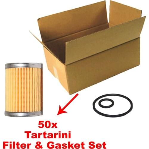 50x Adet Tartarini LPG Filter & Gasket Set Tartarini CNG GPL LPG Filtre Kartuşu Toptan Satış Tartarini Autogas Filtre Kartuşu