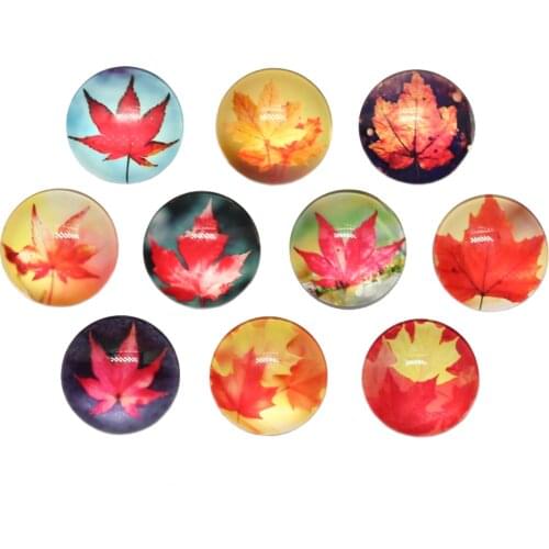 10pcs/lot New Fashion 25mm Round Mixed Canada Maple Leaf Autumn DIY Glass Cabochon Mixed Patterns Fit Cameo Base Setting