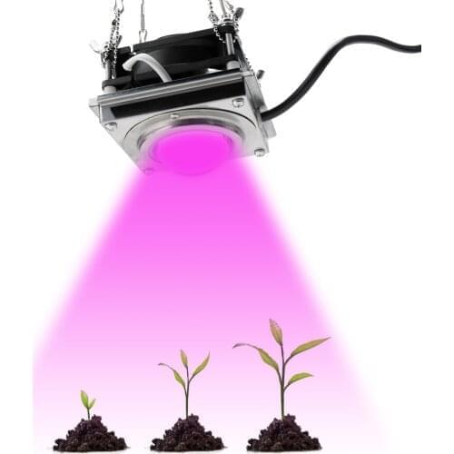 Full Spectrum CXB3590 COB Grow Light 300W High Luminous Efficiency Growing Lamp Plants Phytolamp for Indoor Grow Box Greenhouses