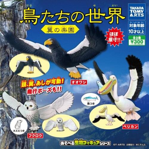 TAKARA TOMY Genuine Gashapon Toys Bird World Eagle Snow Owl Joints Movable Action Figure Ornament Toys
