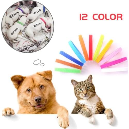 12 Color Dog Collar Id Tag Soft Adjustable Puppy Id Collar Velvet Identification Newborn Pet Necklace for Dogs Puppy Cats Kitten