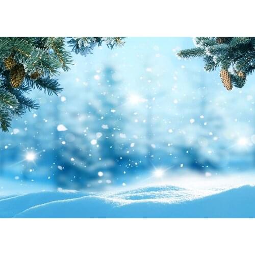 Christmas Snow forest photo background photo background
