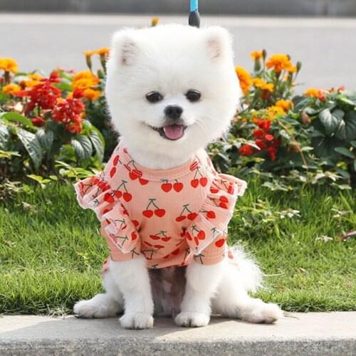 Summer Pet Dog Clothes Cherry Printed T-shirt Pets T-shirt For Small Puppy Dog Clothes Cat Pet Vest Accessory Pet Supplies