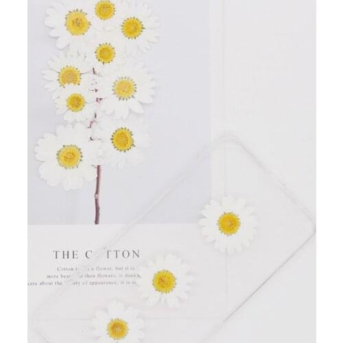 100Pcs Real Natuurlijke Geperste Gedroogde Bloemen Wit Daisy Pressed Flower Voor Hars Sieraden Nail Stickers Make Art Ambachten