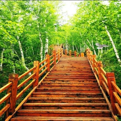 Dropshipping Colomac Mural 3d Modern Quiet Path Wallpaper Jungle Green Wallpaper Living Room Bedroom Papier Peint Mural 3d