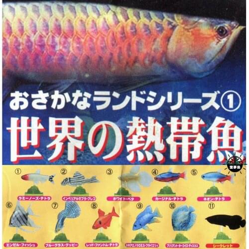 Tropical Fish In The World Gashapon Toys Betta Lantern Fish Snapper Scavenger Pike Cichlid Action Figure Ornaments