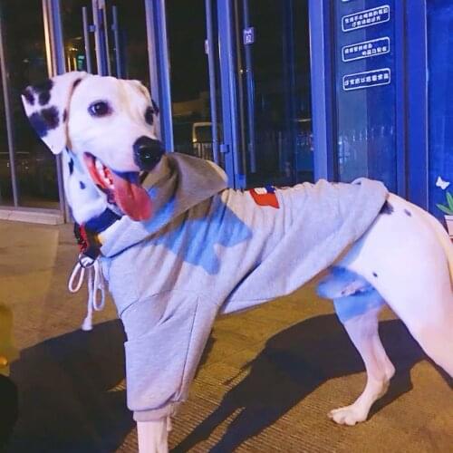 Fashion Dog Hoodie Jacket Clothes Parent Child Outfit Pet Coat for Small Medium Large Dogs French Bulldog Dropshipping ZJC13