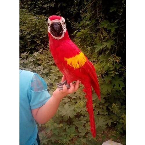 New creative simulation parrot toy resin&fur red parrot model gift about 53x16.5x12cm 1207