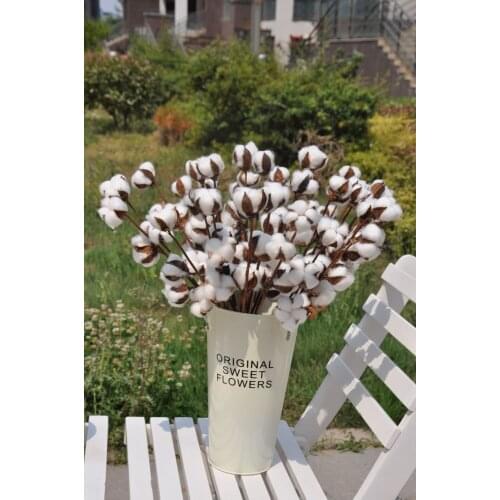 Mylb new cotton 3head 1head Home decoration eternal flower wedding decoration European Rural pastoral natural dried flowers