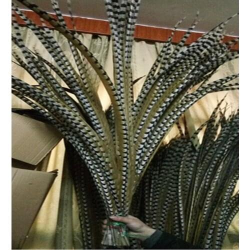 Wholesale 10pcs/lot Large Size 130-140 cm (52-56 inch ) Natural Reeves Venery Pheasant Tail Feathers