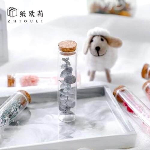 Creative Exquisite to Send Boys and Girls Friends Sand Sculpture Birthday Gift Mini Tube Glass Dried Flowers Small Gifts