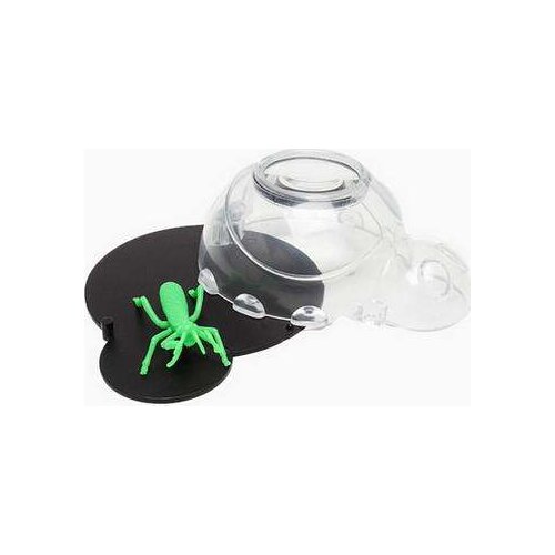 Beetle Observer Insect Observation Viewer Box Biological Teaching Experimental Equipment Kindergarten Aid Unisex Toy Hot Sale