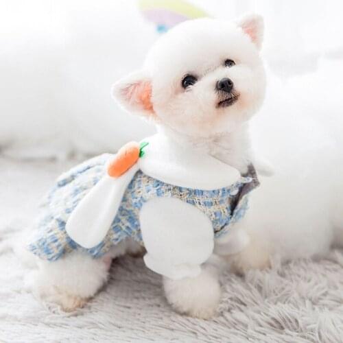 Winter Denim Pet Dog Cat Dresses Clothing 2022 New Puppy Dog Princess Dress For Chihuahua french bulldog Small Large Dog Clothes