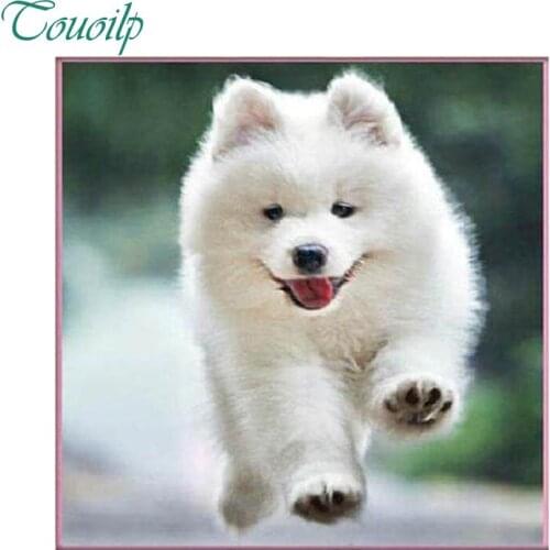 Diamond Embroidery 3D Animals Diamond Cute Puppy Pattern White Dog Embroidery round Crafts Mosaic Home Decoration Cross Stitch