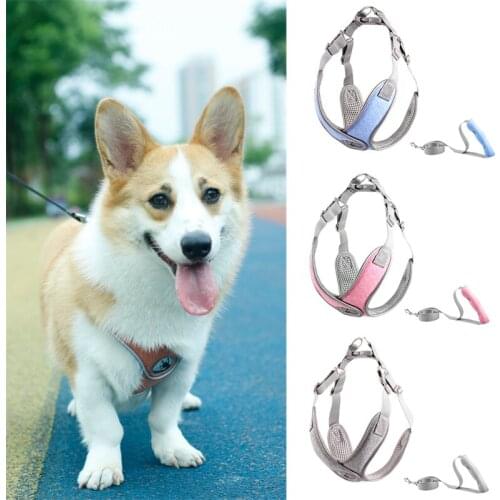 Fashion Pet Dog Leash Harness Set Breathable Reflective Puppy Dog Sets for Small Dogs Yorkies Chihuahua Maltese Harnesses Leads
