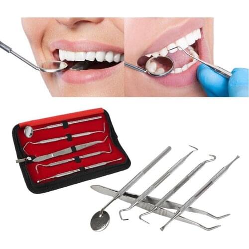 5Pcs/Set Professional Stainless Steel Dental Set Dentist Teeth Kit Oral Clean Probe Tweezers Tool Kit