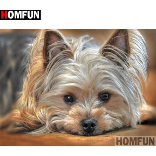 HOMFUN Full diamond Painting ""Dog animal pet" Resin Drill Embroidery 5D Diy Diamond Painting Handmade Cross Stitch A30074