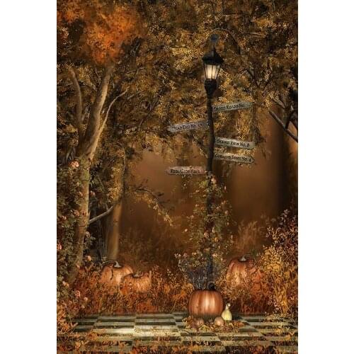 Halloween Photography Backdrops Pumpkins Street Light Sign in Foggy Forest Backgrounds for Photo Studio Party Theater Photophone