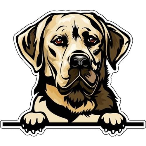 6" Tall Labrador Retriever Vinyl Decal Sticker, for Tumblers, Laptops, Car Windows